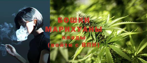спайс Козловка
