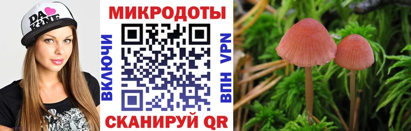 Купить закладки  Ясногорск  Галлюциногенные грибы GOLDEN TEACHER 